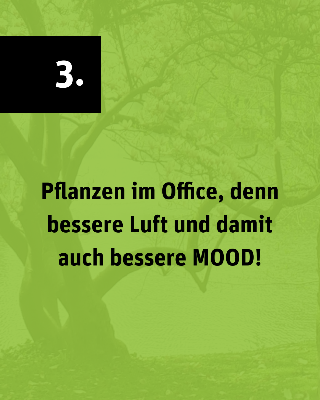 Bild auf grün getöntem Hintergrund mit dem Text „Pflanzen im Office, denn bessere Luft und damit auch bessere MOOD!“ und der Nummer „3.“