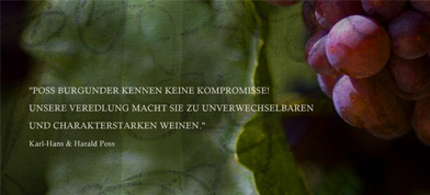 Impression Weingut Poss